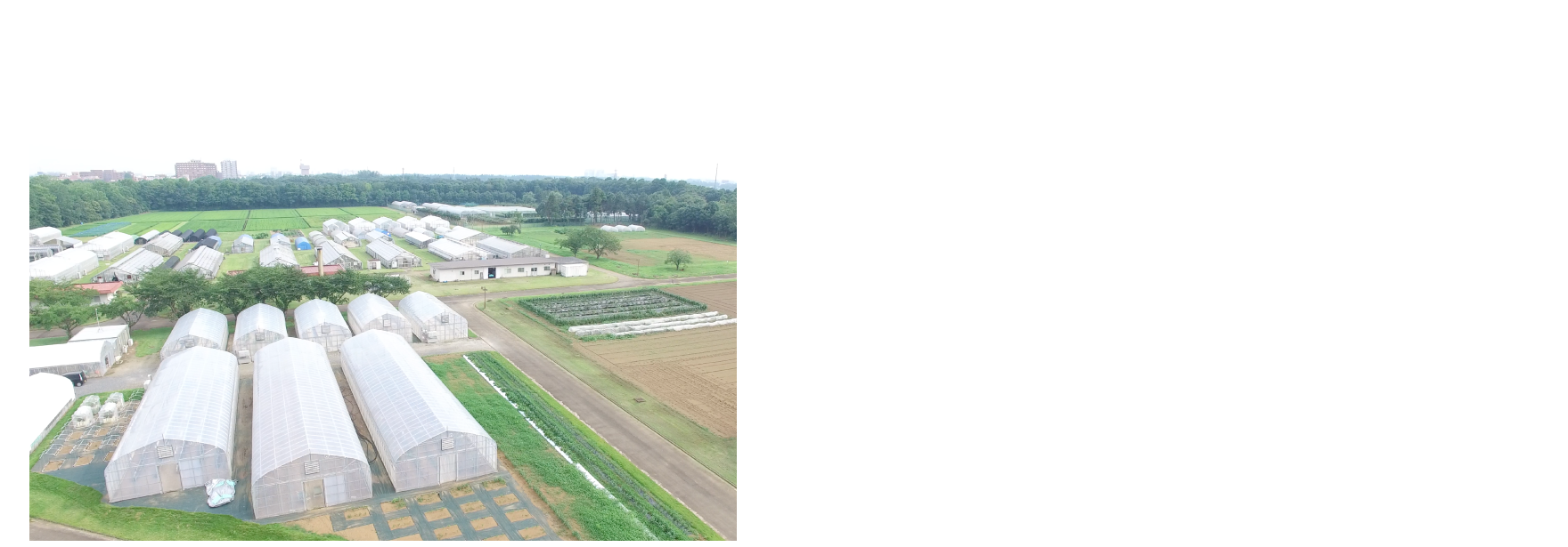 18ha [筑波地区圃場　面積]（水田圃、果樹圃、苗畑圃、実験圃等）所在地：茨城県つくば市　筑波キャンパス 東京ドーム 約4個分