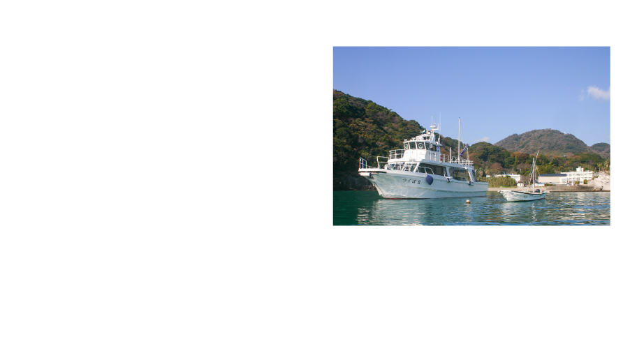 19トン [下田臨海実験センター　調査研究船 つくばII ] 所在地：静岡県下田市 ＊東京ドームの広さ＝4.7ha 東京スカイツリーの高さ＝634m